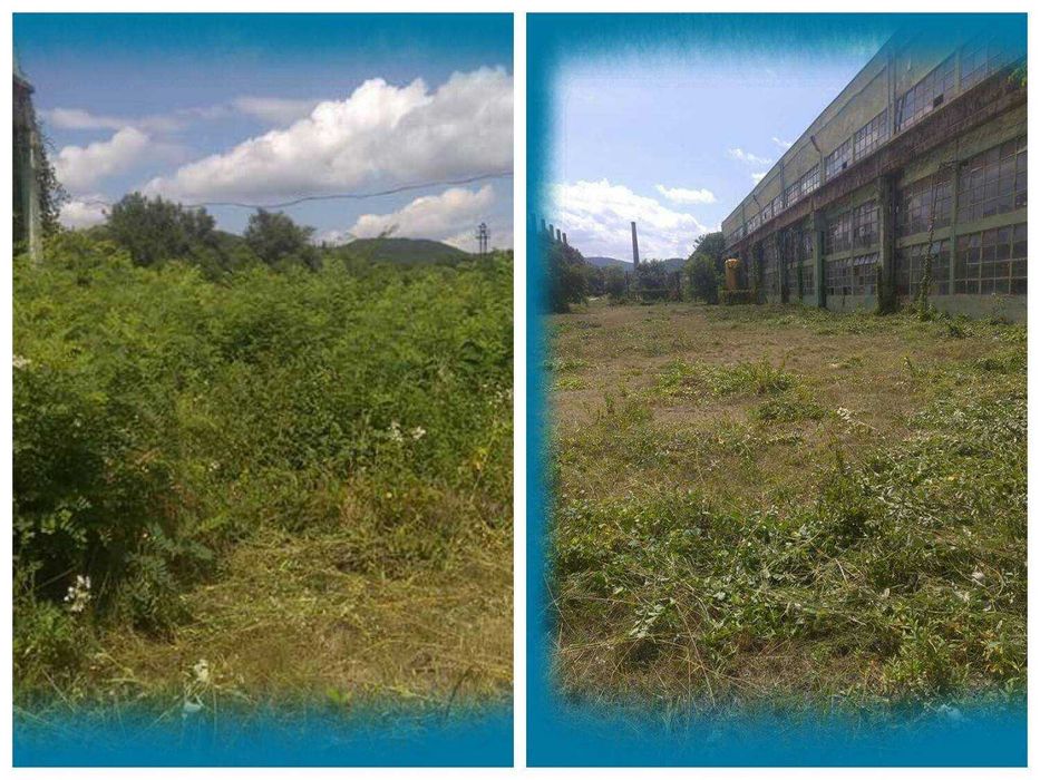 Почистване на дворове и запустели терени в София – бързо и изгодно