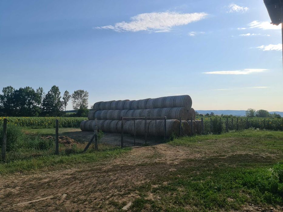 Vănd baloți de paie grău  160/120  70lei
