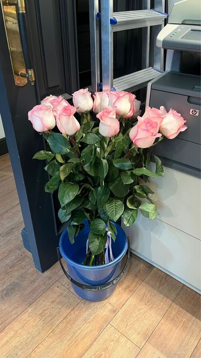 Цветы для вашего настроения