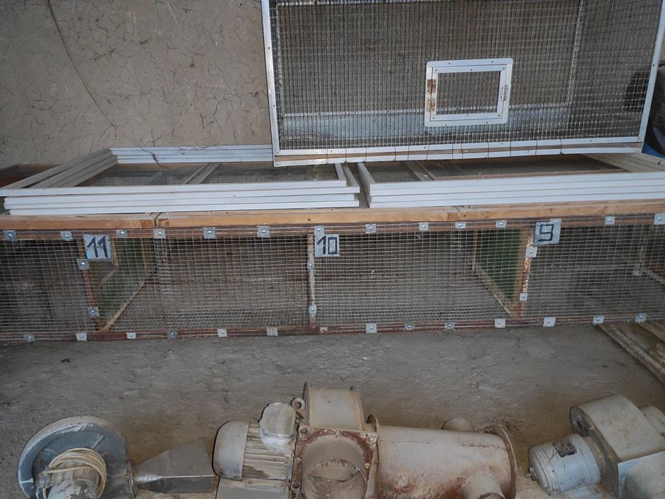 Валер ( Кафас ) 1,45см 0,65см.