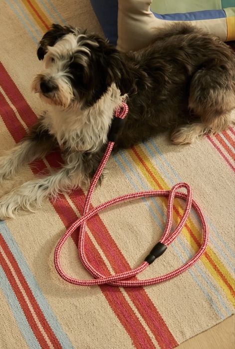 Повод за куче 180 см