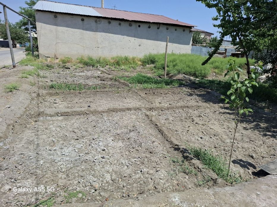 1 хонали уй Птица Фабрикадан.