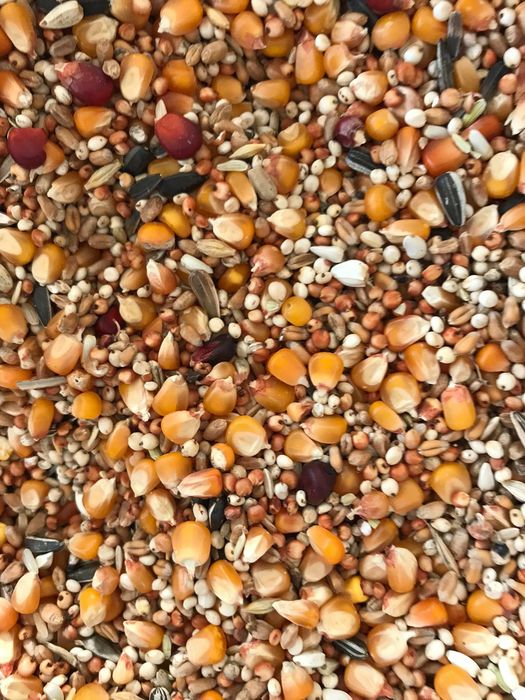 Amestec Porumbei/Top Mineral Mixt