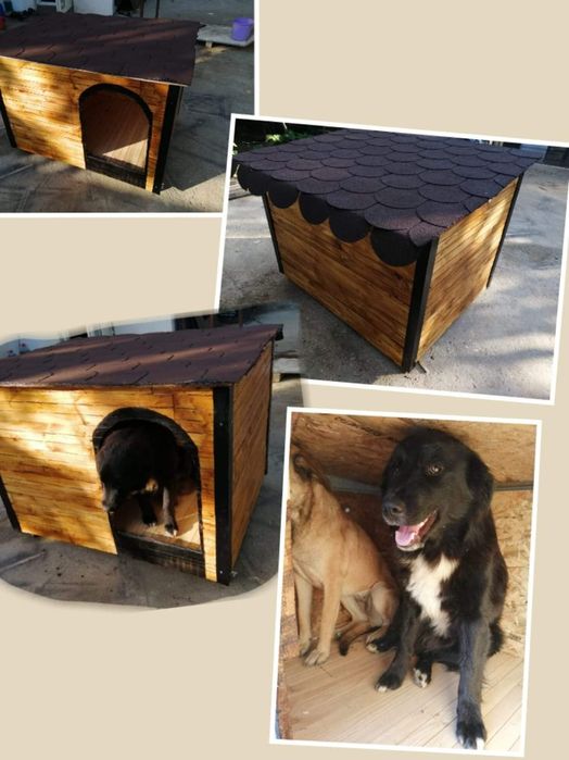 Cuști pentru căței