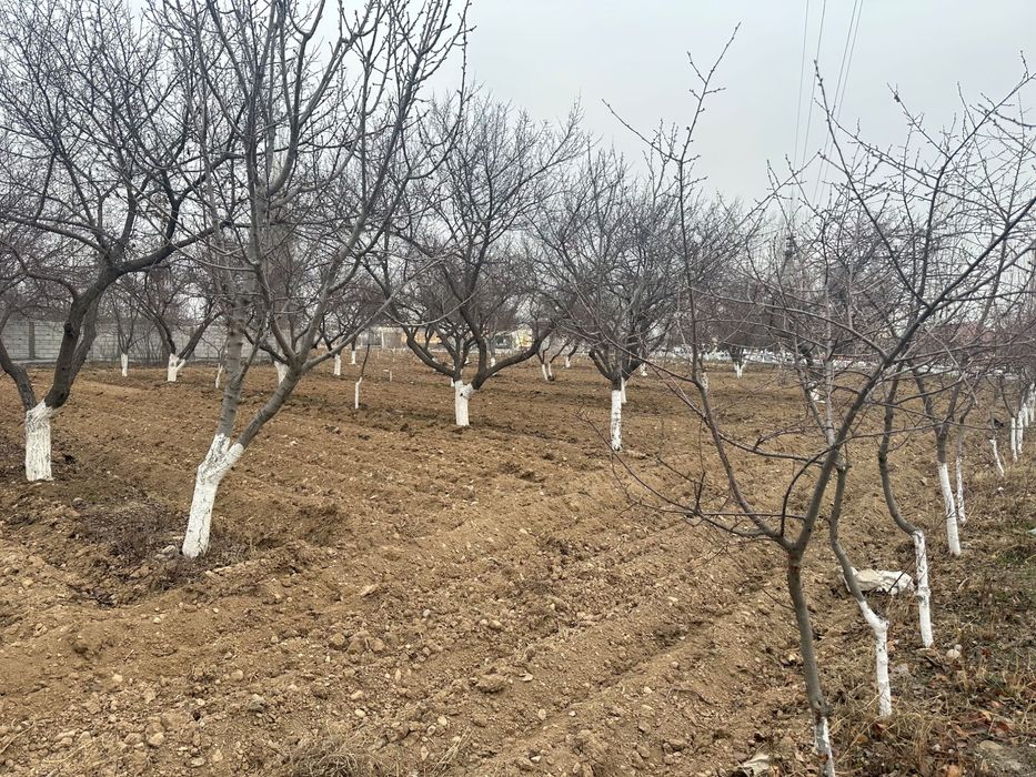 16 сотых ер зудлик билан сотилади