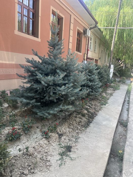 Ko’k archa 2 metr