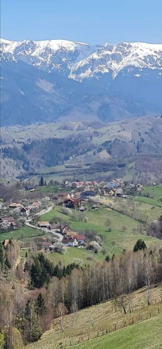 Teren RATE FĂRĂ AVANS | Bran | Moieciu | Fundata |  Vedere  Munte