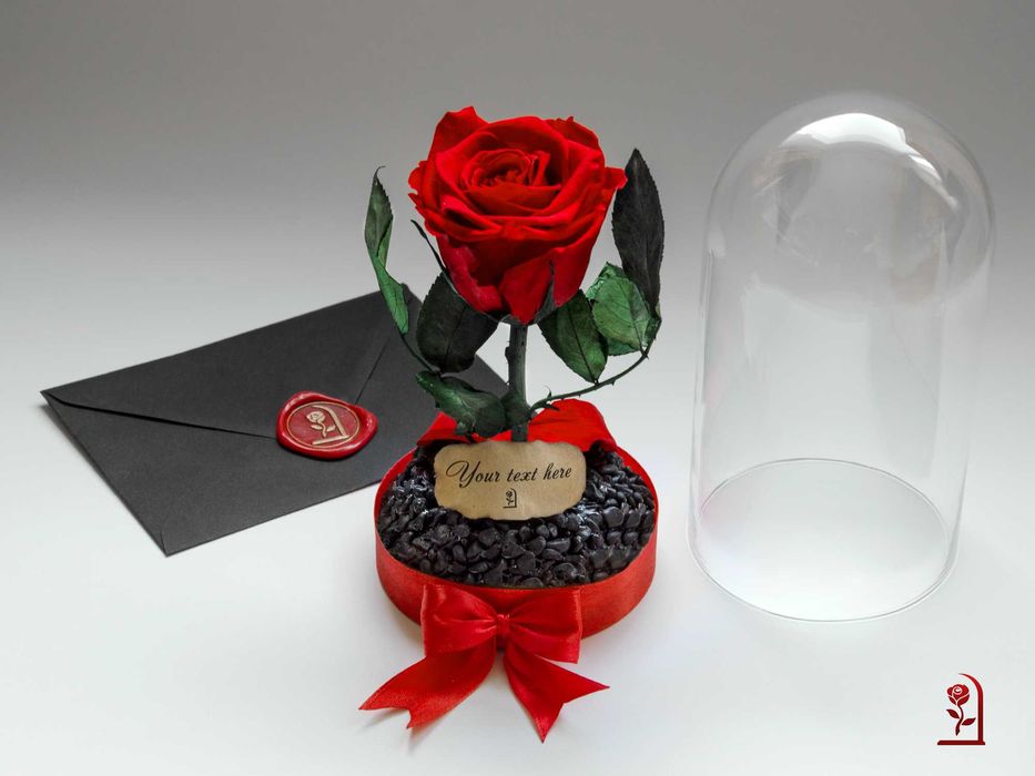 Естествена Вечна Роза в Стъкленица / Подарък за Годишнина за Съпругата