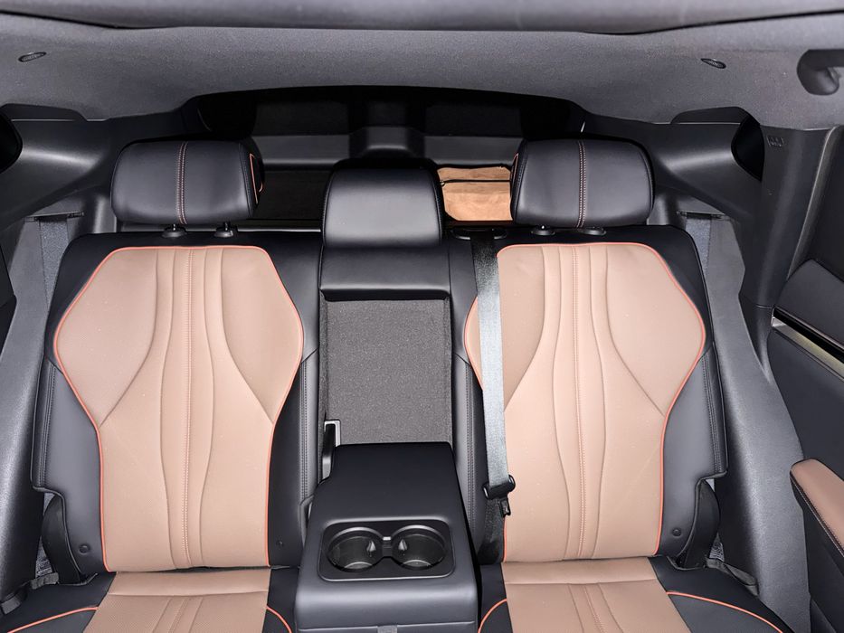 BYD Champion Gibrid 110km FL