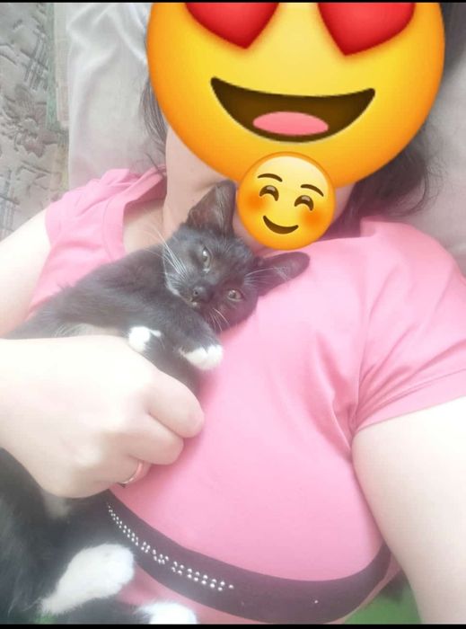 Отдам в добрые руки