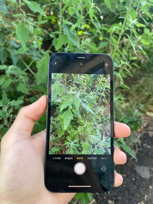 IPHONE 12 сатылады