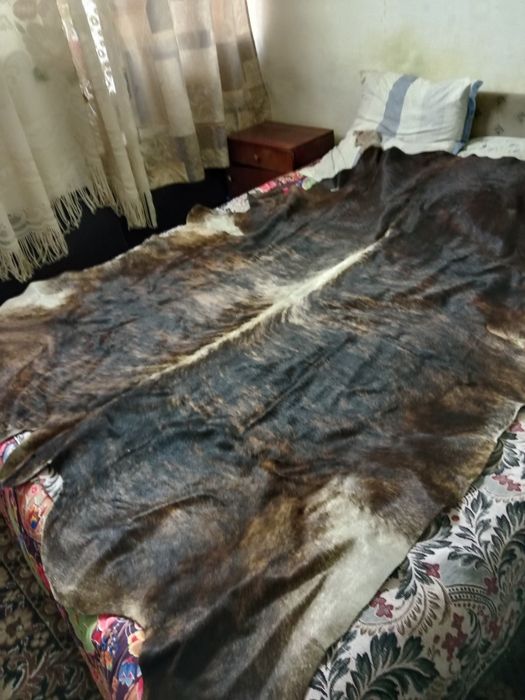 Продае́тся шкура медведя