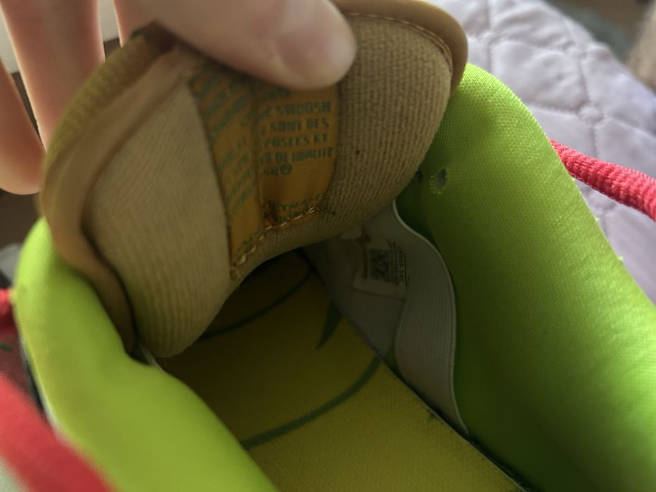 Nike Dunk 2007 “What the Dunk”