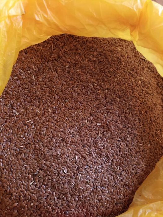 Лён лён лён Абакус