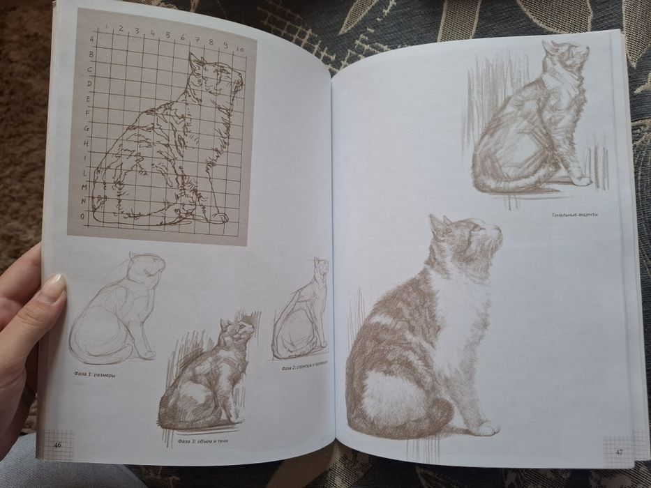 Техника рисования кошек по сеткам