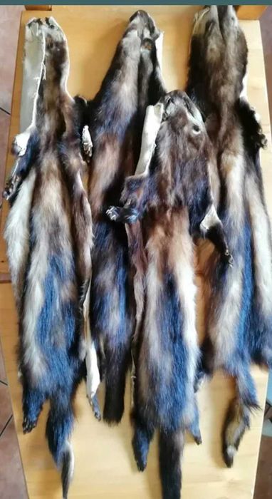 Blana naturala, jder, arghesite, foarte bine