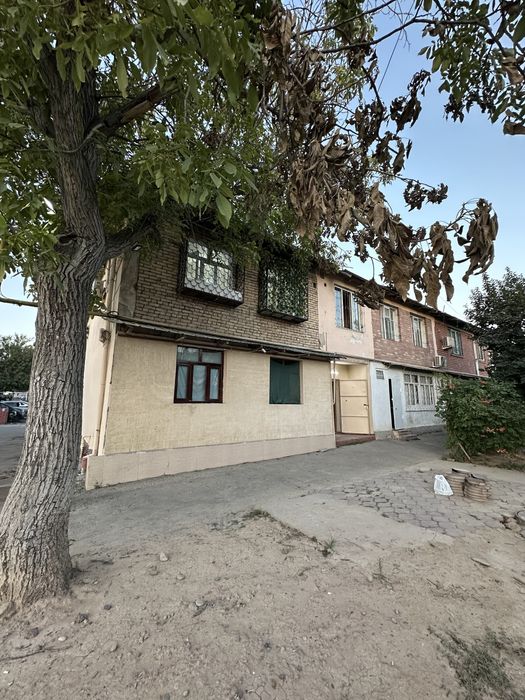 Chilonzor oqtepa 3xona