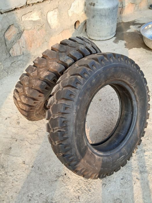 Muravey radnoy balon