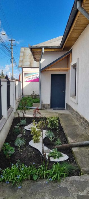 Închiriez studio la casă, cu curte și acces separat – Decebal 84, zona liniștită