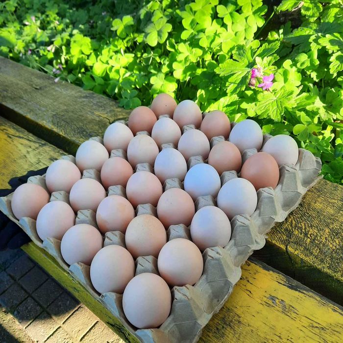 Продавам домашни яйца