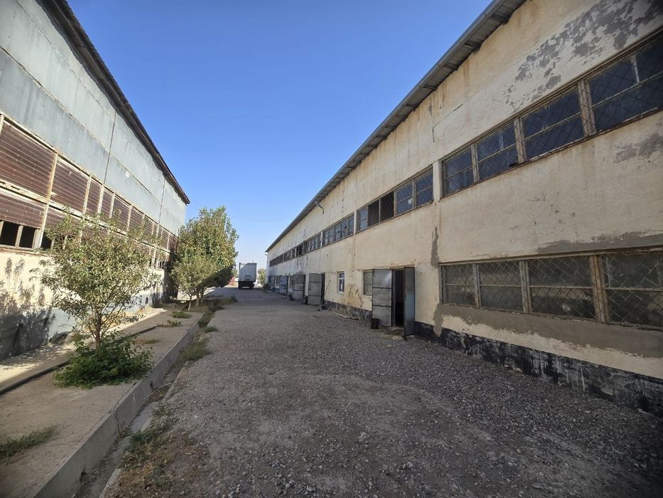 Срочно Қашқадарё