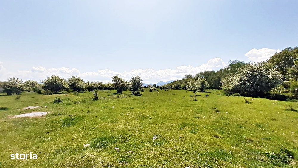 Sanpetru teren pentru dezvoltare imobiliara 4318mp, 55 euro/mp