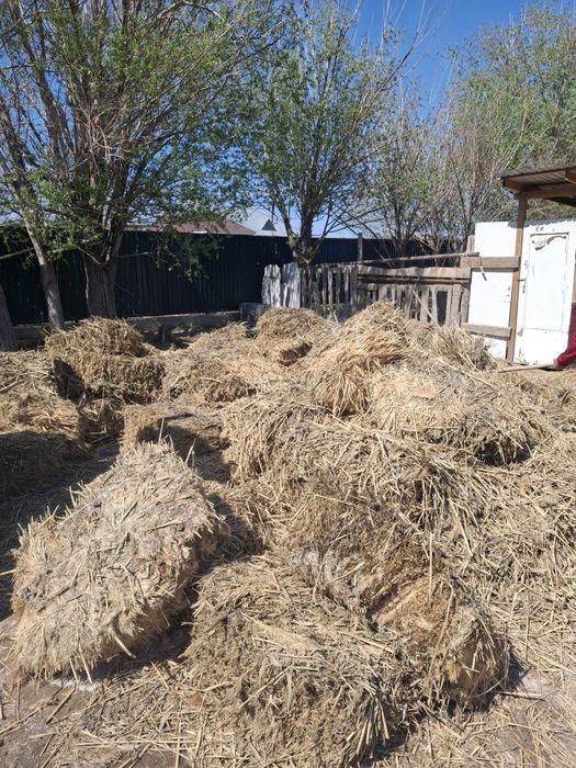 Камыс прес сатылады