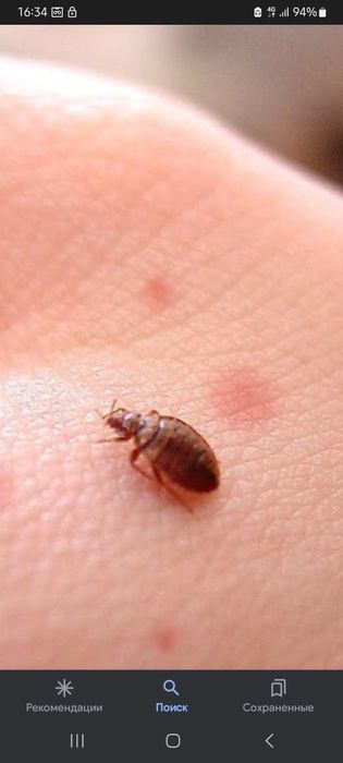 KLO‘PA YO‘Q 100%