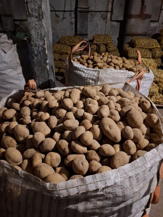 Картофи Сорая фракция 60+