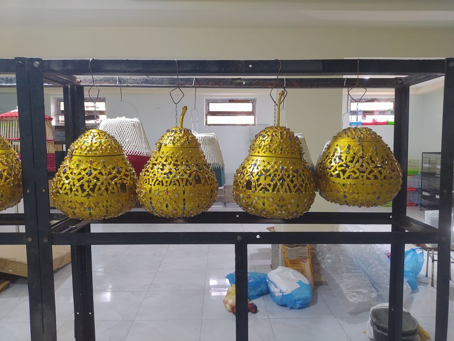 Бедона кавок сотилади