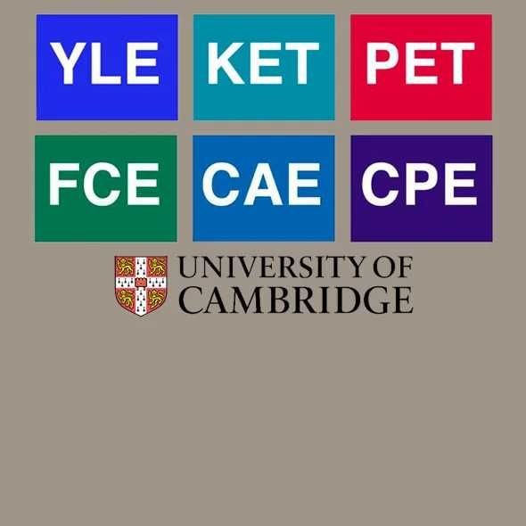 Pregatire PET, FCE, CAE, CPE, bac, facultate