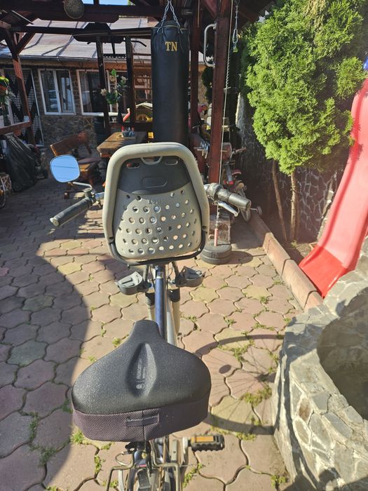 Scaun copil pt bicicleta,marca Thule.