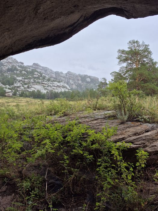 Зимовка. Қыстақ 2000га