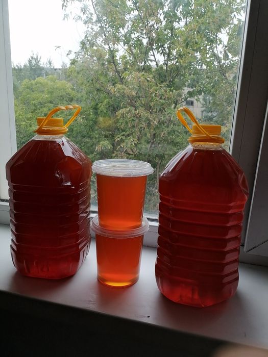 Продам дягилевый мед