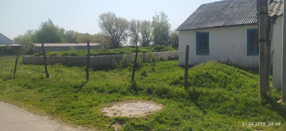 Уй сатылады екпінді достық 6