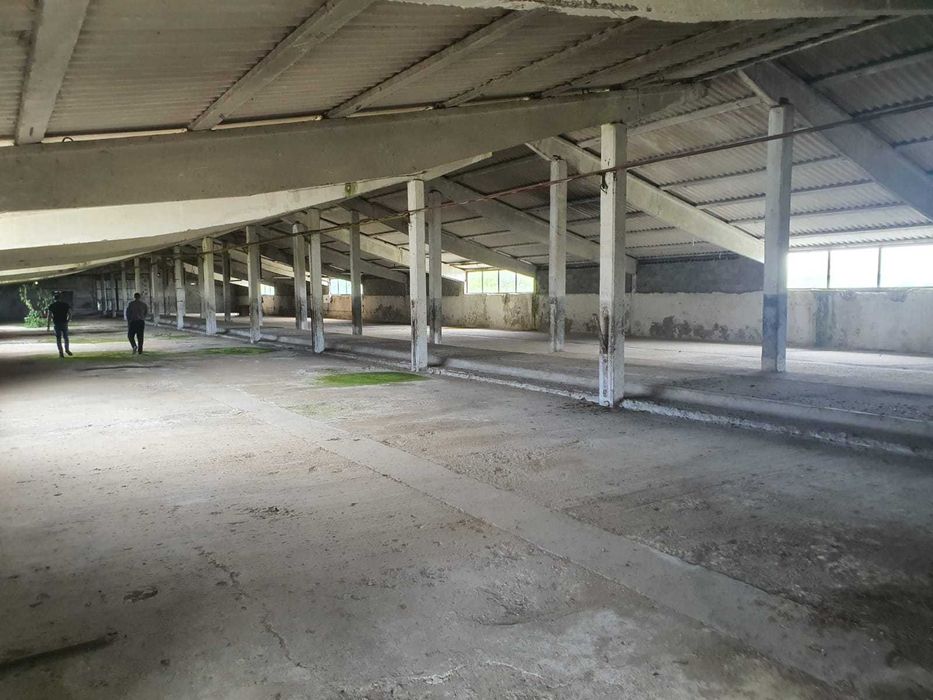 De inchiriat Depozite, Hale, service auto Filipesti E85 15 KM DE BACAU
