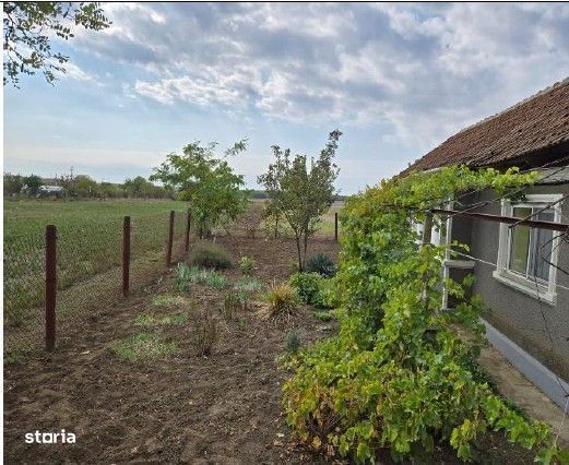 Casa si teren cota parte 1/8, sat Viisoara, com Cobadin, ID: R2982541