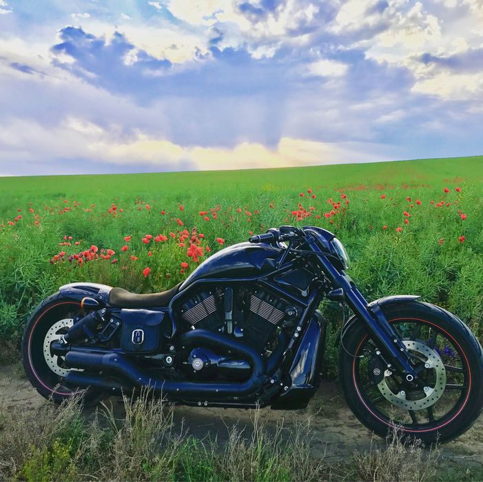 Harley Davidson Night rod Custom