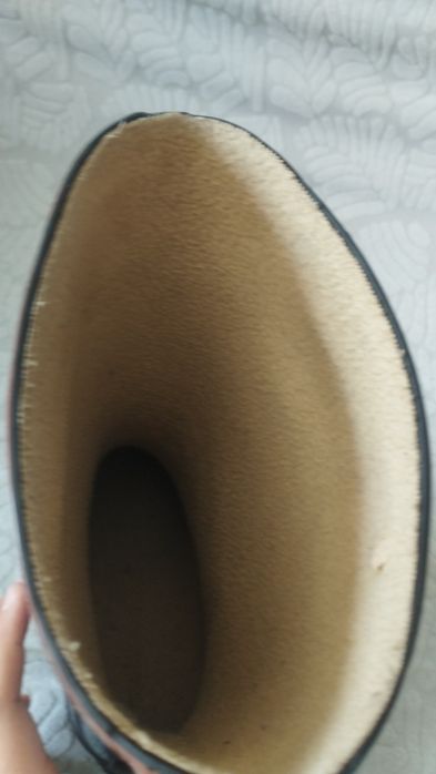 Резиновые сапоги