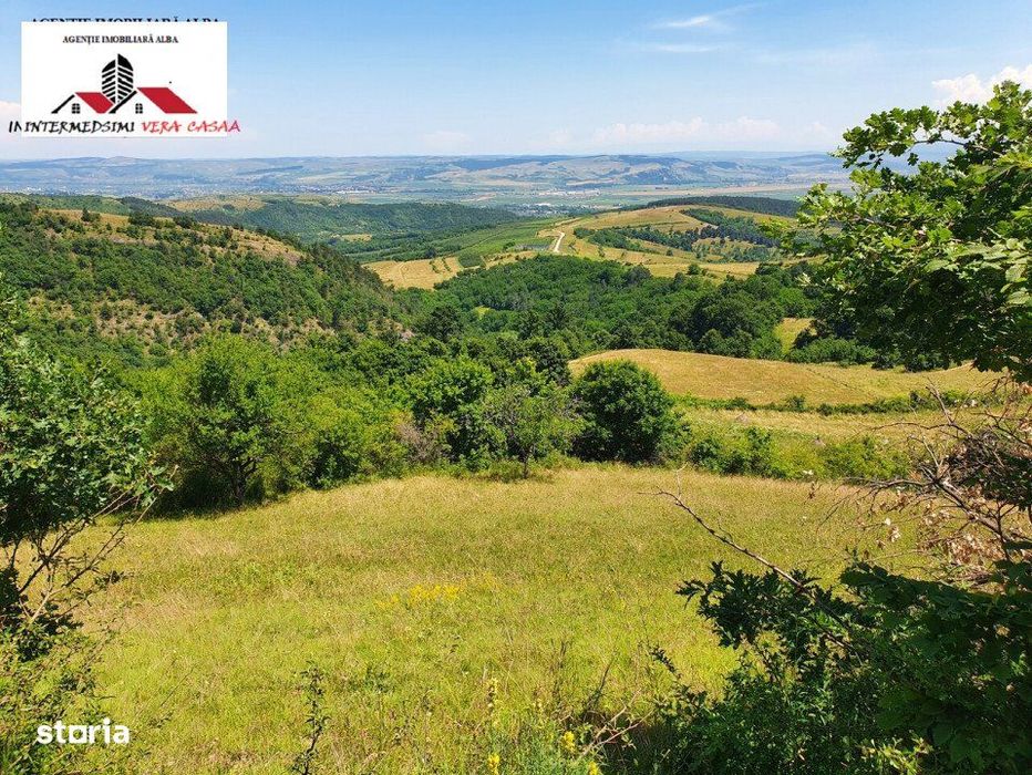 Teren de vanzare 33 de hectare Inuri Jud Alba