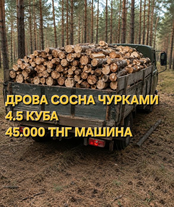 Дрова колотые сосна