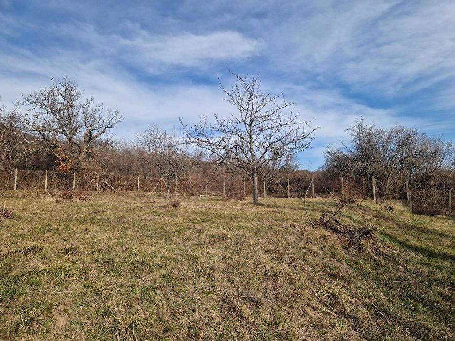 Имот в с.Очуша за вила, къща илиовощна градина