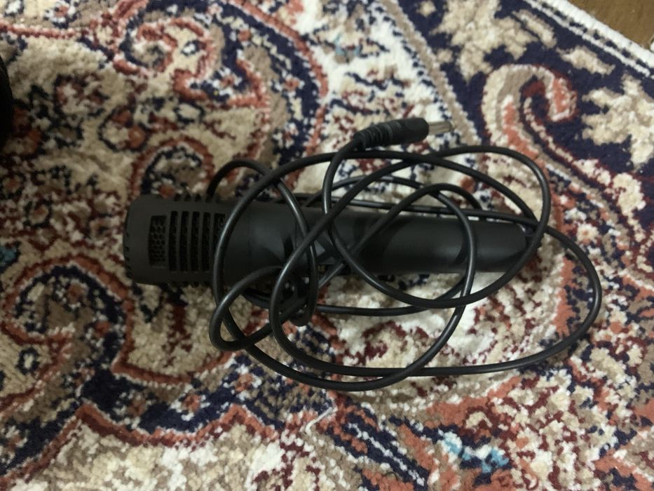 Колонка с микрофоном