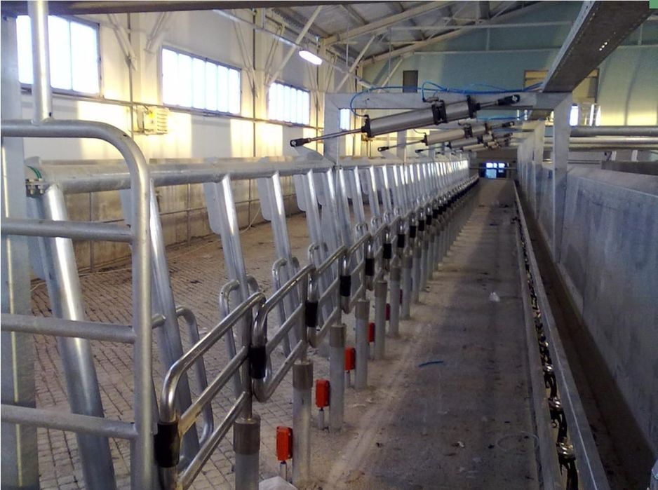 Доильный Зал.Согим зали
