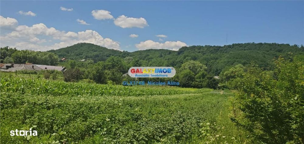 Teren intravilan comuna Bogati sat Birloi Jud. Arges