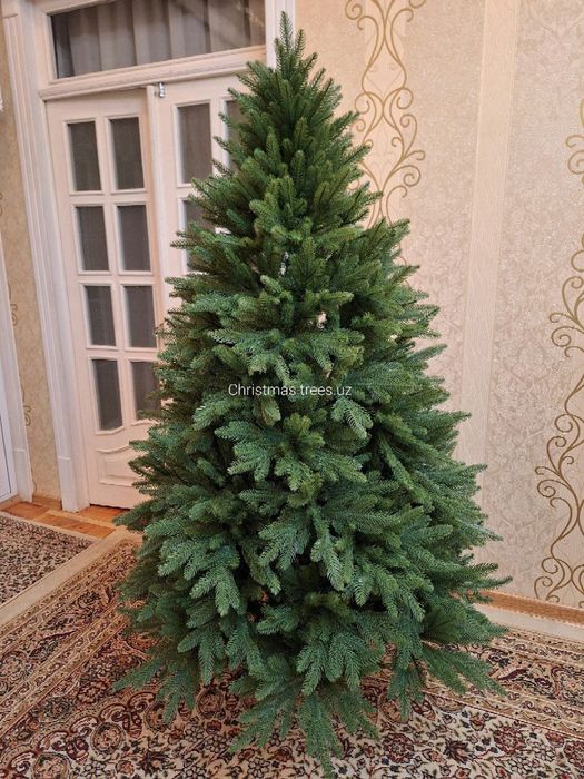 Новые ёлки 3 метра от 100$
