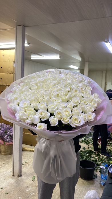 Срочно продам цветы.