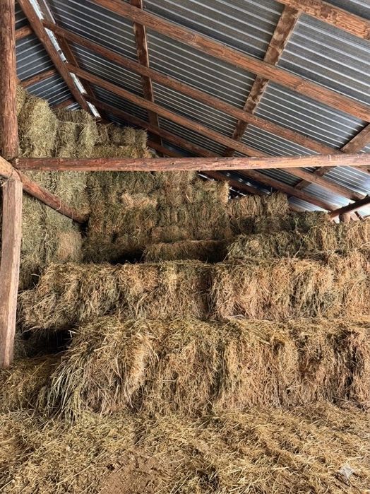 Baloți LUCERNĂ coasa 2 și 3