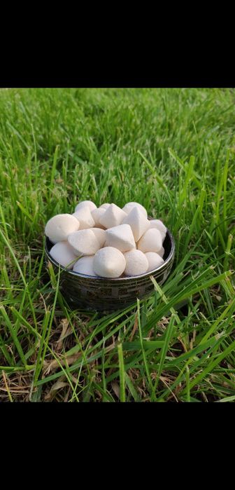 Курт оптом,  ірімшік рафаэло