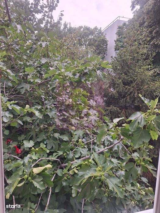 Apartament 2 camere Aviatiei-Herastrau